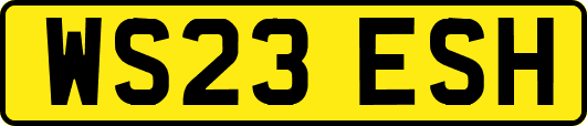 WS23ESH