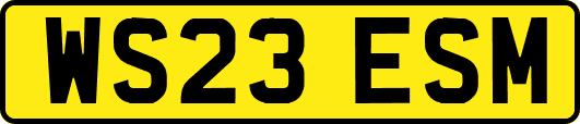 WS23ESM