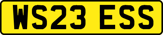 WS23ESS