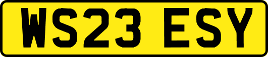 WS23ESY