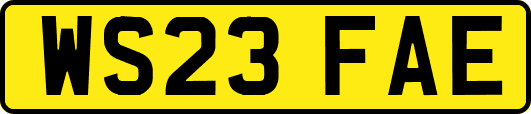 WS23FAE