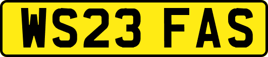 WS23FAS
