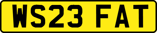 WS23FAT