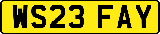 WS23FAY