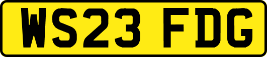 WS23FDG