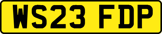 WS23FDP