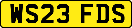 WS23FDS