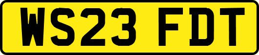 WS23FDT