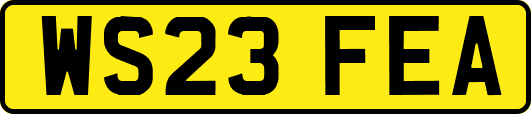 WS23FEA