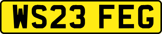 WS23FEG