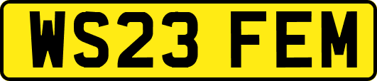 WS23FEM