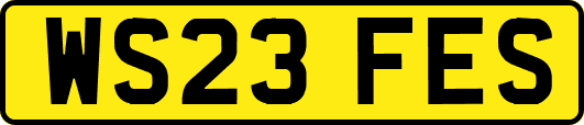 WS23FES