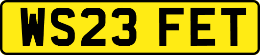 WS23FET