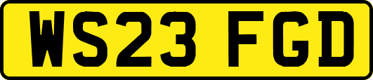 WS23FGD