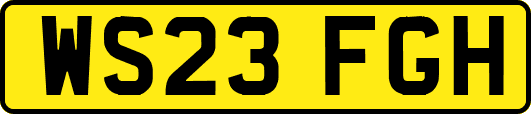 WS23FGH