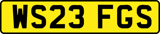 WS23FGS