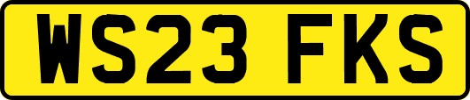 WS23FKS