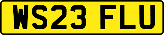 WS23FLU