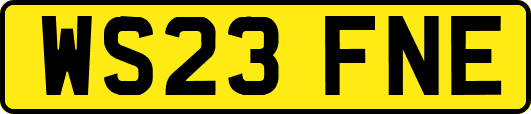 WS23FNE