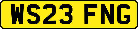 WS23FNG