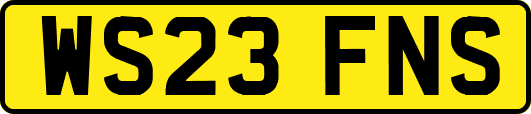 WS23FNS