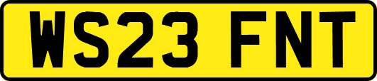 WS23FNT