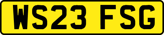 WS23FSG