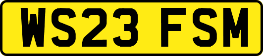 WS23FSM