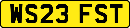 WS23FST