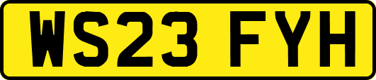 WS23FYH
