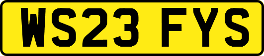 WS23FYS
