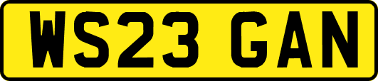 WS23GAN