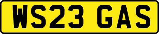 WS23GAS