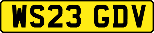 WS23GDV