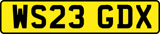 WS23GDX