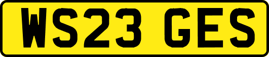 WS23GES