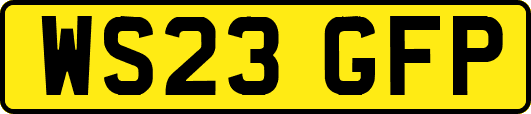 WS23GFP
