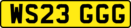 WS23GGG
