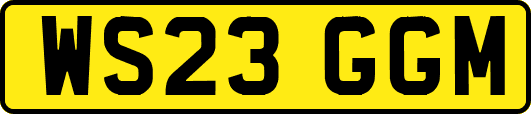 WS23GGM