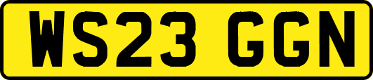 WS23GGN