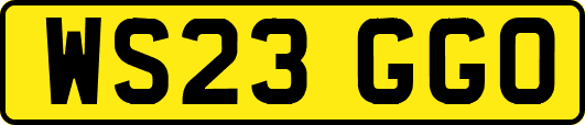 WS23GGO