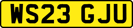 WS23GJU
