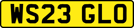 WS23GLO
