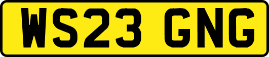 WS23GNG