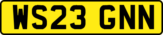 WS23GNN