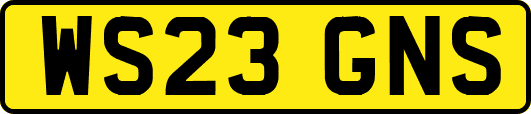 WS23GNS