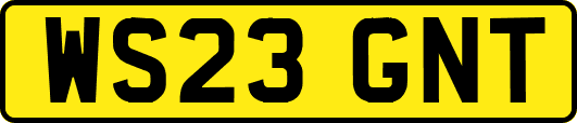 WS23GNT
