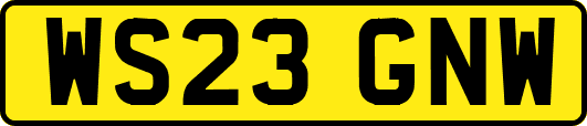 WS23GNW