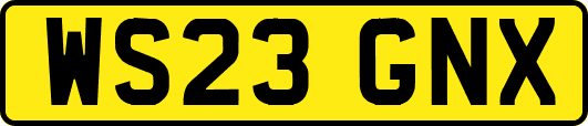 WS23GNX