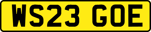 WS23GOE